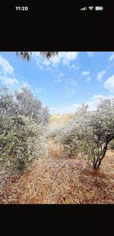 Mısırlı Gayrimenkul'den Satılık Arsuz Tatarlı'da 2.57 M2 Tarla