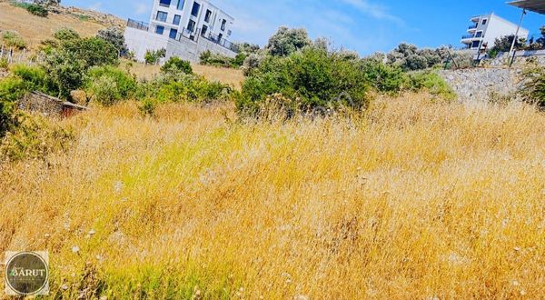 Koçarlı Gündoğanda Ova Manzaralı 348 M2 Fırsat Arsa