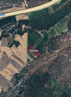 Demirland'dan Satılık Kireç Çiftliği Köyünde Kelepir Tarla