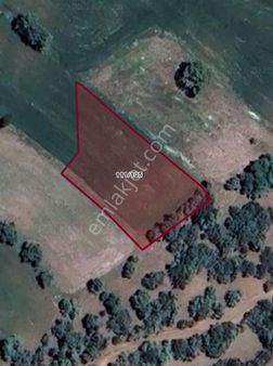 Demirland'dan Satılık Kireç Çiftliği Köyünde Kelepir Tarla