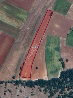 Demirland'dan Satılık Kireç Çiftliği Köyünde Kelepir Tarla