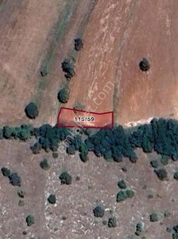 Demirland'dan Satılık Kireç Çiftliği Köyünde Kelepir Tarla