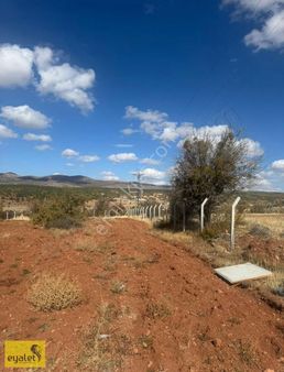 Meram Kızılören Bağlarda Elektrikli Çevrili 7.000 M² Tarla