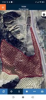 16300 M2 Babadağ Bekirler Anayoluna Sıfır Yetişmiş Zeytin Bahçesi