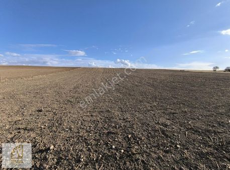 Truvadan Çorum Altınbaş'ta 25.975 M² Satılık Verimli Tarla