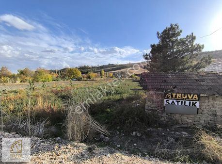 Truvadan Çorum Altınbaşta Seraya Uygun 2690 M² Tarla