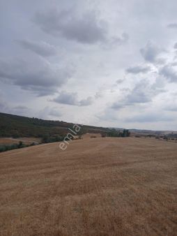Tekirdağ Oğuz Lu Satılık Tarla