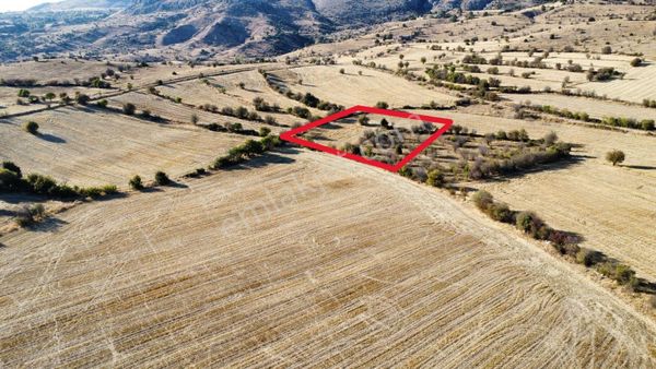 Çorum Merkez Üçköy'de Satılık Tarla