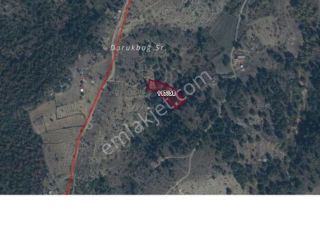 Bilecik Söğütte İmar Sınırına Çok Yakın Tarlalar!!