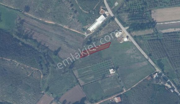 Sakarya Karasu Edişe Mahallesinde Yol Kenarı Tarla