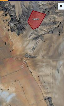 Acil Satılık Tarla