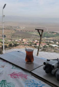 Kevser Alak’tan Söke Sazlı’da Satılık Zeytinlik-tarla-ev-ticari Depo