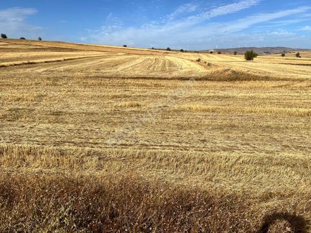 Başkan Emlaktan Satılık Yeşilyurt 373 M2 Söğüt Asfaltı Üzeri