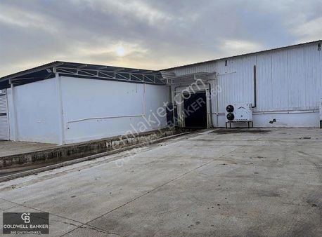 Tam Donanımlı Devren Kiralık Gıda Üretim Ve Soğukhava Tesisi