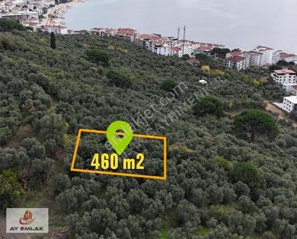 Ay Emlak'tan 460 M2 Yatırımlık İmar Sınırına 1 Parsel Zeytinlik