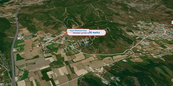 Muğla Milas Küçükdibekderesinde 5948 M² Zeytinlik Yatırımlık Fırsat