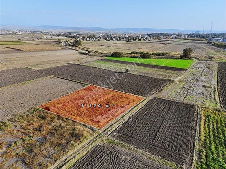Nova Grup'tan Atköy Mah. 1.200 M² Satılık Suyu Olan Tarla