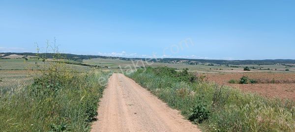 Edirne Enez Kocaali Köyünde Satılık 2489.24 M² Tarla