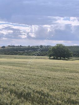 Enez Kocaali Köyü'nde 12.512 M² Yatırımlık Tarla!