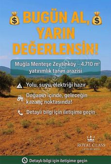 Muğla Menteşe Zeytinköy'de Kaçırılmayacak Fırsat