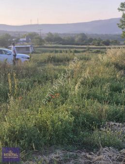 Kocaeli / Körfez/ Cuma Satılık 363 M2 Tarla