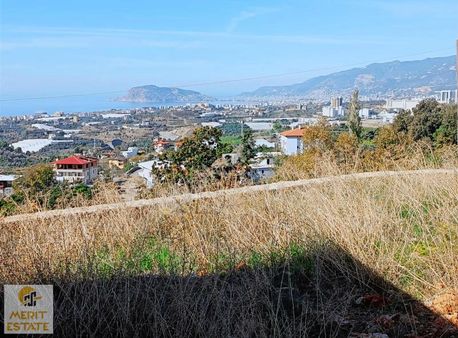 Kestel Yaylalı Mah.deniz Ve Kale Manzaralı Satılık 1.815m2 Tarla