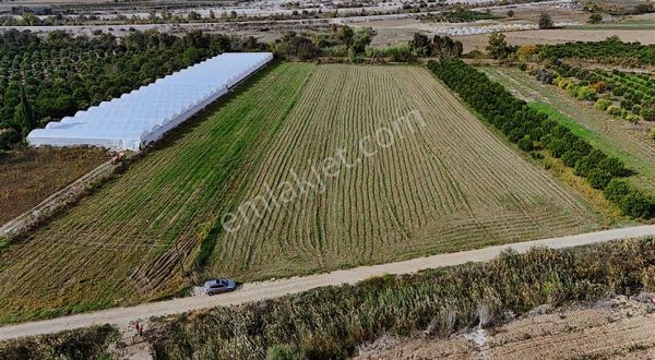 Serik Aşağıoba Seraya Uygun Müstakil 2 Adet Fırsat Satılık Tarla
