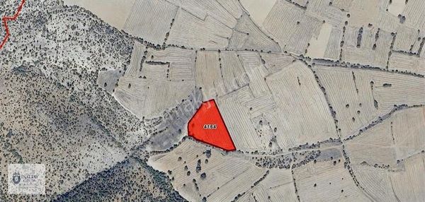 Kütahya Emet Örencik'te Yolu Olan Yatırımlık Tarla.