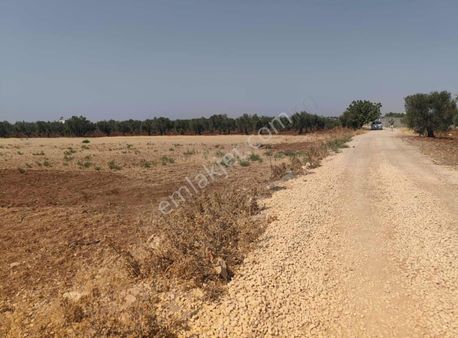 Pusula Emlaktan Avukatlar Barosu Arkasında Elektrik Ve Su Var