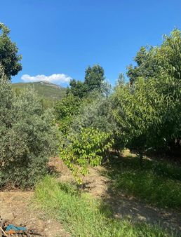 Kurulu Düzen Masrafsız Bahçe Ve 2 Katlı Ev