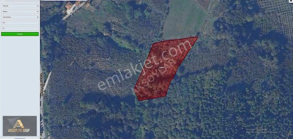 Karasu Akkum'da Yatırımlık Fındık Tarlası