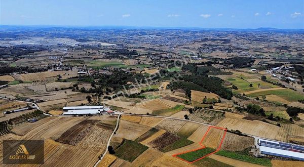 Merkeze Yakın Arazi