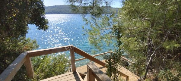 Akb0k Koyunda Deniz Sıfır Muhteşem