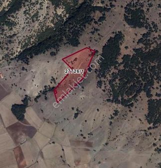 Rw Milyon'dan Cumhuriyet (sekiören) Mahallesinde Satılık Tarla