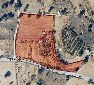 Orhaneli Argın Köyünde Hobi Bahçesi Tapulu Evli, 12 Dönüm!