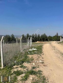 Sağlam'dan Çınarlı'da Kaçırılmayacak Cazip Arsa