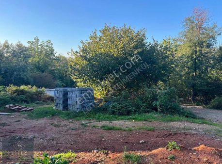 Derbent Te Yatırımlık 5 Dönüm Arazi 3 Adet İnşaatla Birlikte