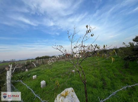 Remax Mıd Ofısınden Büyük Bostancıdan Fırsat Tarla