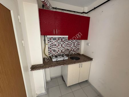 Şirintepe Mahallesi Eşyalı İskanlı Satılık 1+1