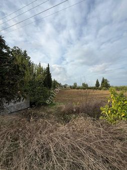 Etrafı İmarlı Villalar Olan Üç Tarafı Kadostro Yola Cephe Elektrik Su Aboneli Ev İçin Tarla
