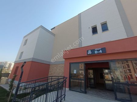 Hatay Antakya Defne Hancağız Toki Konutlarında Kiralık Daireler