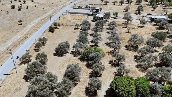 Deniz Manzaralı 4 Ayrı Tapu Çakmaklı Yoluna Cepheli