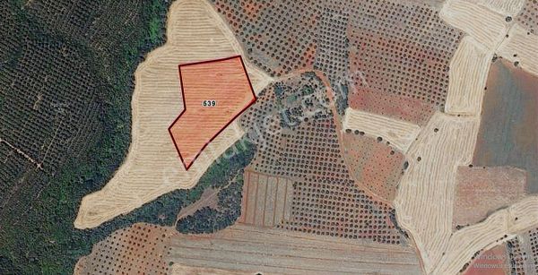 Karacabey Doğla Köyünde Satılık Fırsat Arazi