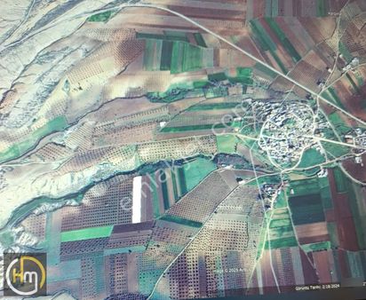 H.arslan'dan Kilis Merkez Duruca'da Yatırıma Uygun Zeytinlik