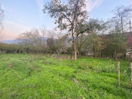 Turyapdan Hendek Aşağıçarığıkurunda 641 M² 2 Kat İmarlı Arsa