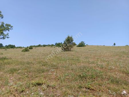 Kandıra Çakmaklar'da Yerleşime Yakın Konumda 5.064 M2 Tarla