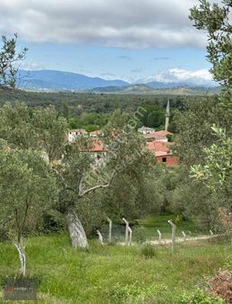 8 Villalık Fırsat Arsa