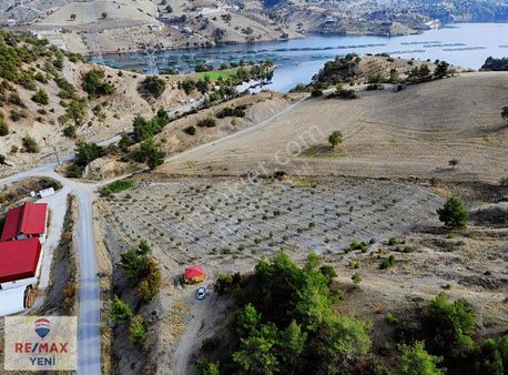 Remax Yeni'den Bulutoğlun'da Zeytin Bahçesi