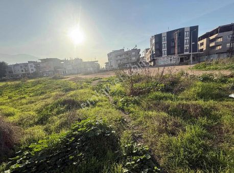 Gürsu Yenidoğan Da Fırsat Arsa