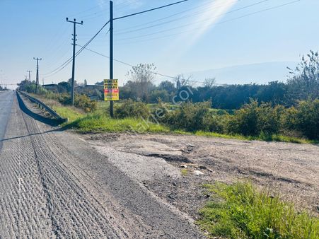 Gıda Çarşısı Mevkiinde Ana Yola Cepheli Satılık Tarla